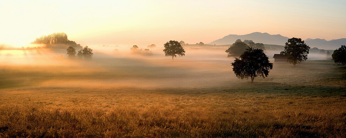 Landschaft im Sonnenaufgang bei Habach, Oberbayern, Bayern, Deutschland