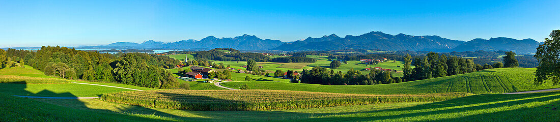 Landschaft bei Prien, Chiemgau, Oberbayern, Bayern, Deutschland