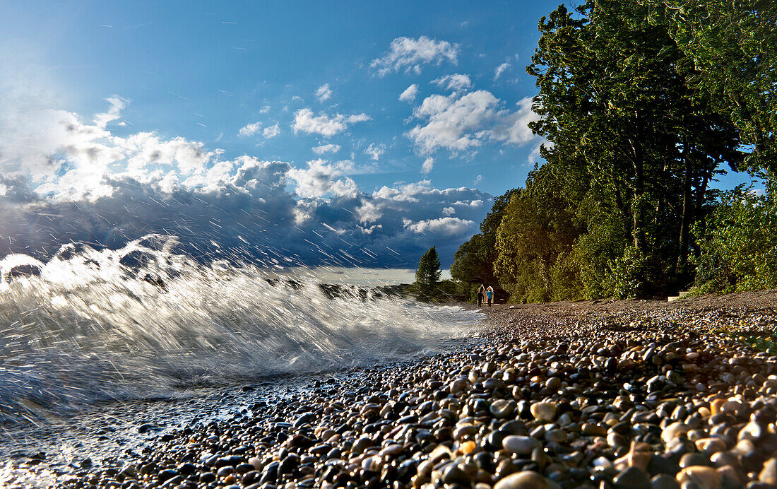 Lakeshore of lake Chiemsee, Chieming, Chiemgau, Upper Bavaria, Germany