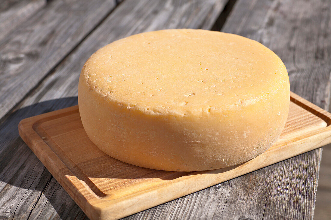 Cheese wheel, Hofbauern-Alm, Kampenwand, Chiemgau, Upper Bavaria, Germany