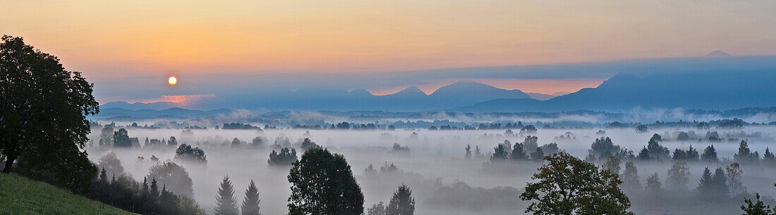 Scenery in early morning fog, Uffing, lake Staffelsee, Upper Bavaria, Germany