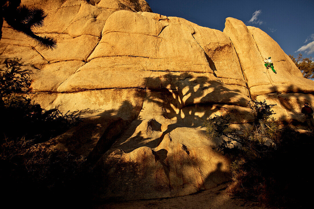 Junger Mann klettert einen Felsen hoch im Joshua Tree National Park, Joshua Tree National Park, Kalifornien, USA