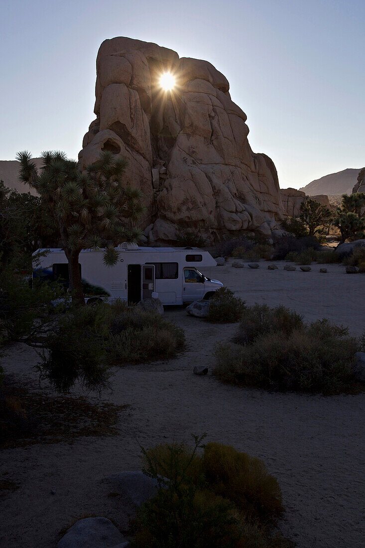 Camper van in the Joshua Tree National Park, Joshua Tree National Park, California, USA