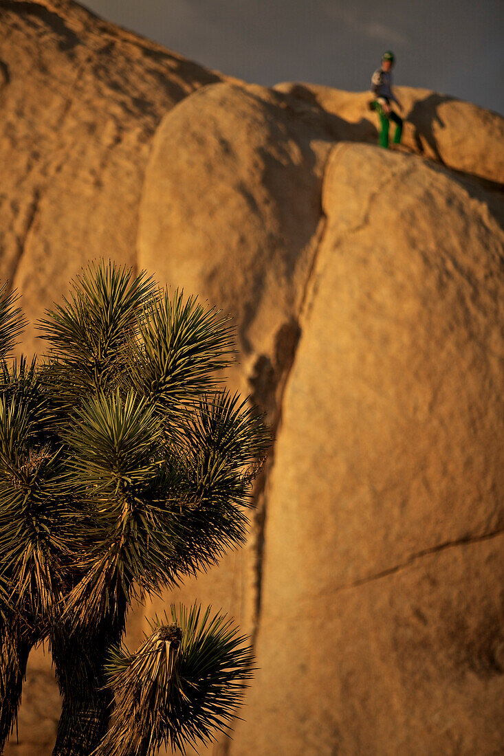 Kletterer steht auf einem Felse im Joshua Tree National Park, Joshua Tree National Park, Kalifornien, USA