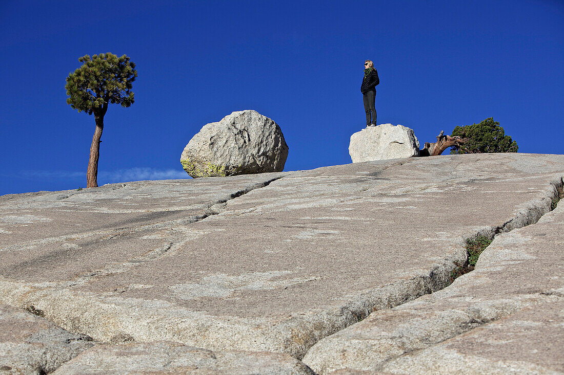 Junge Frau steht auf einem kleinen Felsen neben einem Baum, Yosemite-Nationalpark, Kalifornien, USA
