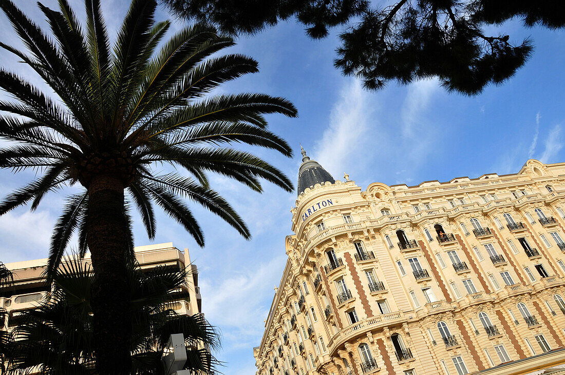 Blick auf die Fassade des Hotel Carlton, Cannes, Côte d'Azur, Süd Frankreich, Europa