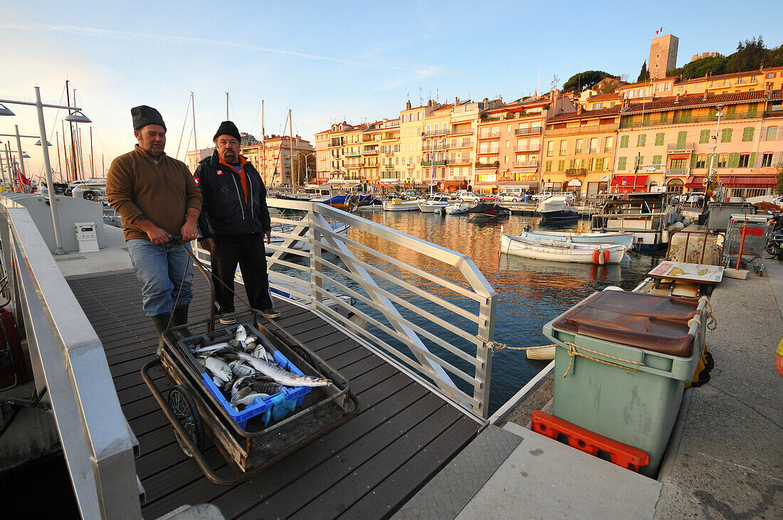 Fischer mit ihrem Fang am alten Hafen von Cannes, Côte d'Azur, Süd Frankreich, Europa