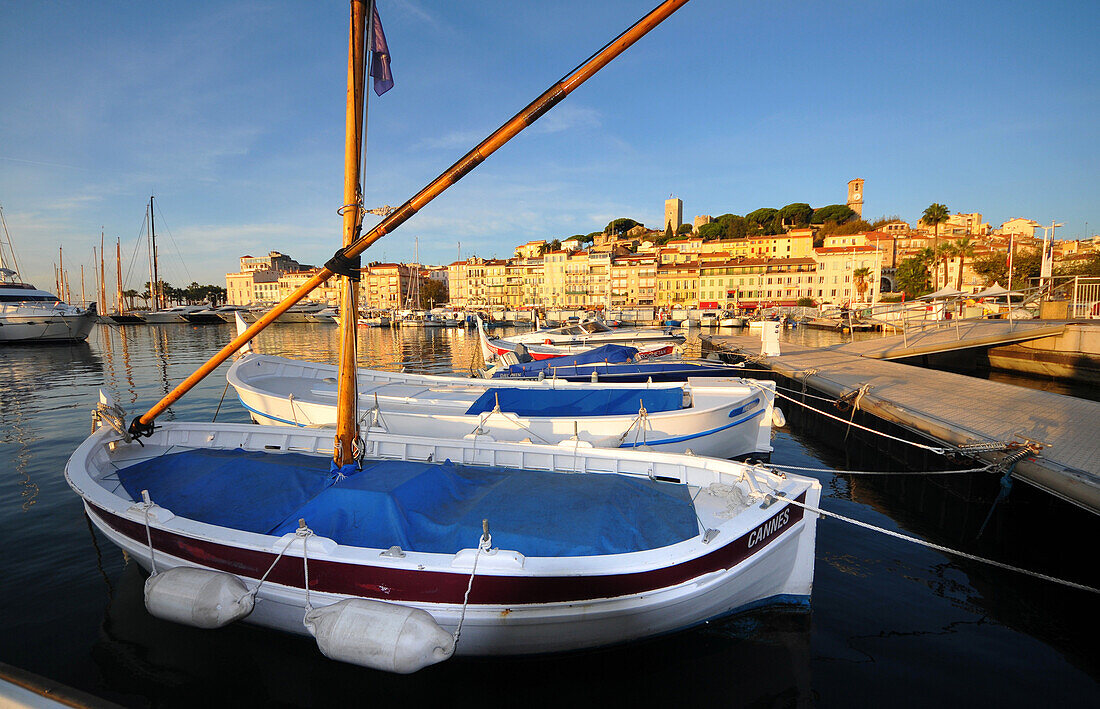 Boats at the old harbour, Cannes, Cote d'Azur, South France, Europe