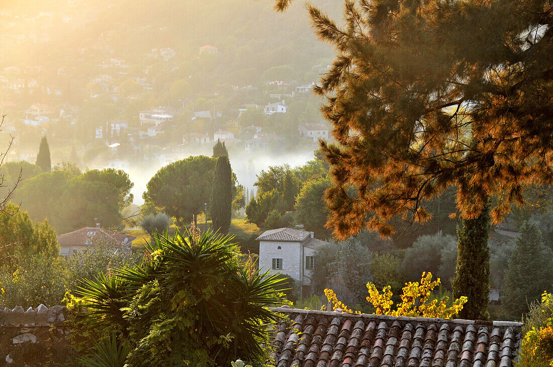 View over trees and roofs in the morning light, Saint-Paul-de-Vence, Cote d'Azur, South France, Europe