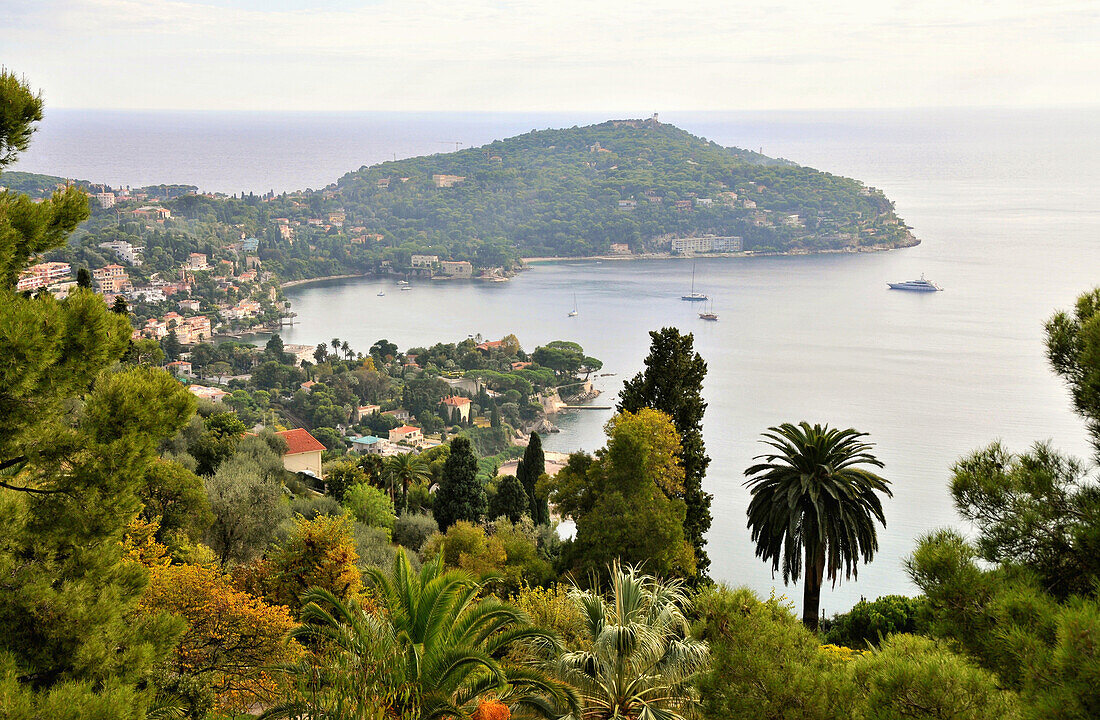 View over trees onto Cap Ferrat, Cote d'Azur, South France, Europe