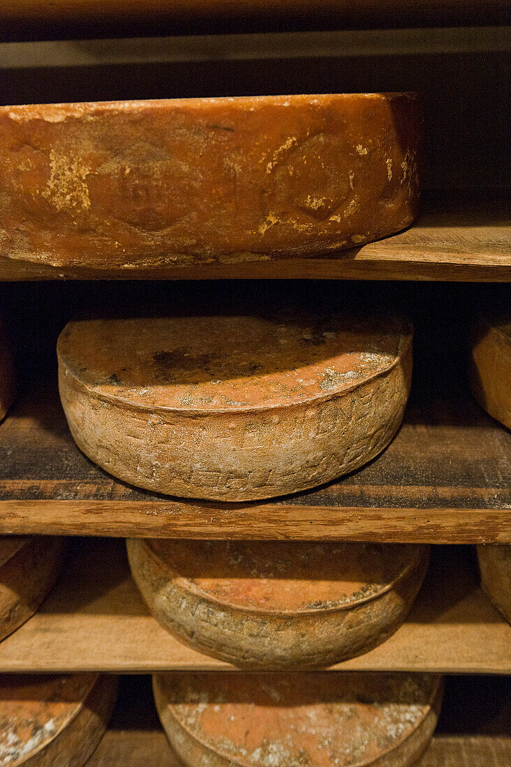Cheese wheels ripening in storage, South Tyrol, Italy