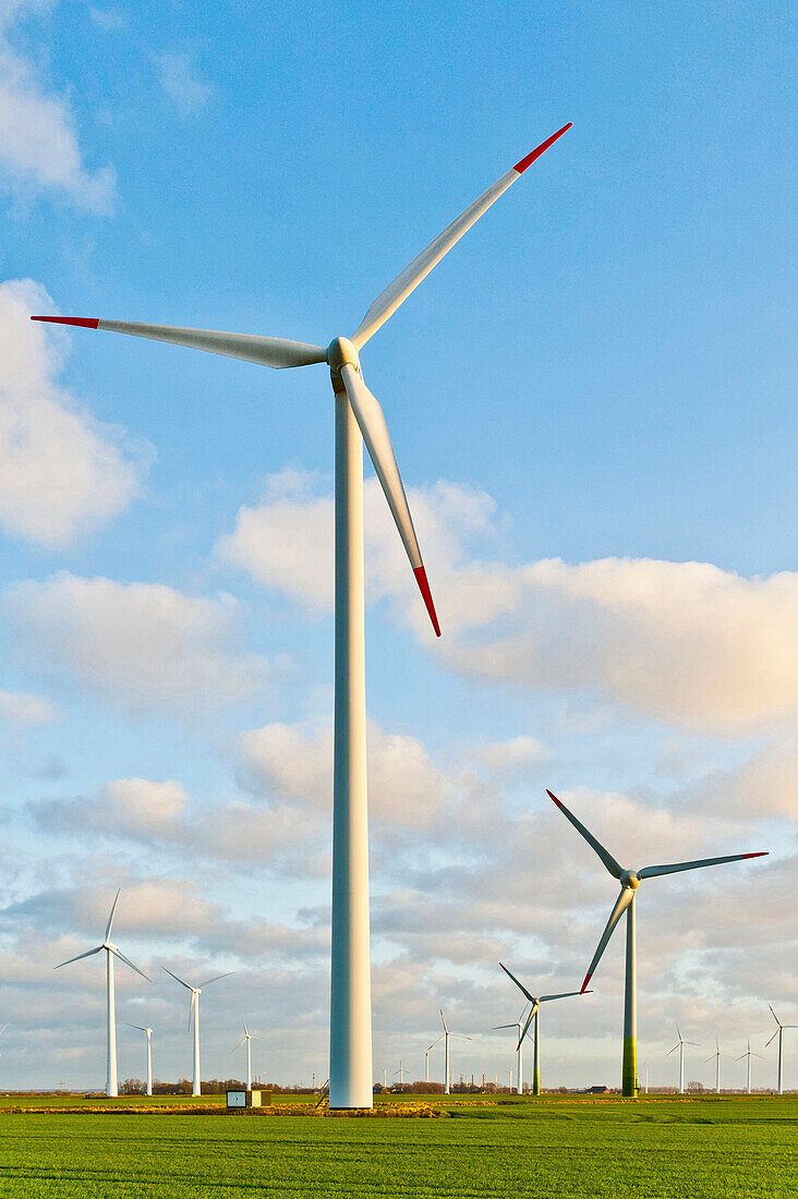 Wind turbines in Northfriesland, Germany