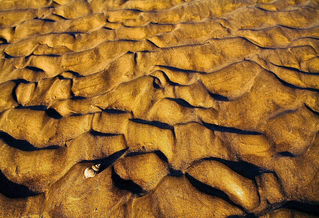 Tide in Mont Saint Michel  Manche Department, Basse-Normandie region, Normandy, France, Europe