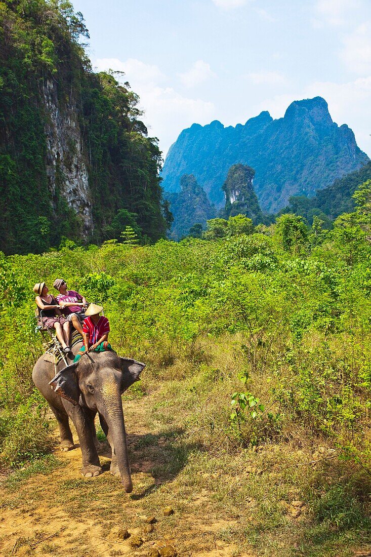 Elephant treck, Elephant Hills www elephant-hills com, Khao Sok National Park, Surat Thani, Thailand