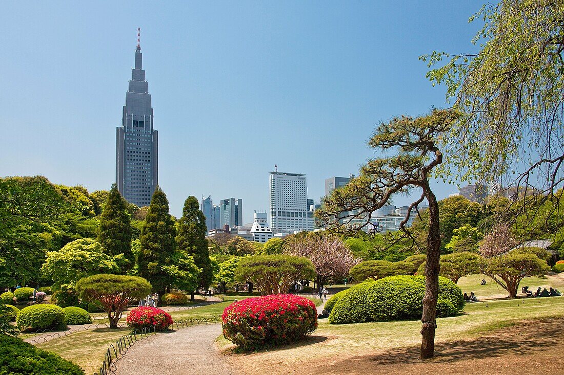 Tokyo City-Shinjuku District-Shinjujku Gyoen Garden.
