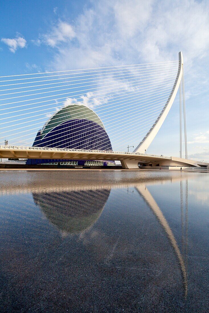 Spain-Valencia Comunity-Valencia City-The City of Arts and Science built by Calatrava-Assut del Or Bridge and Agora Bldg