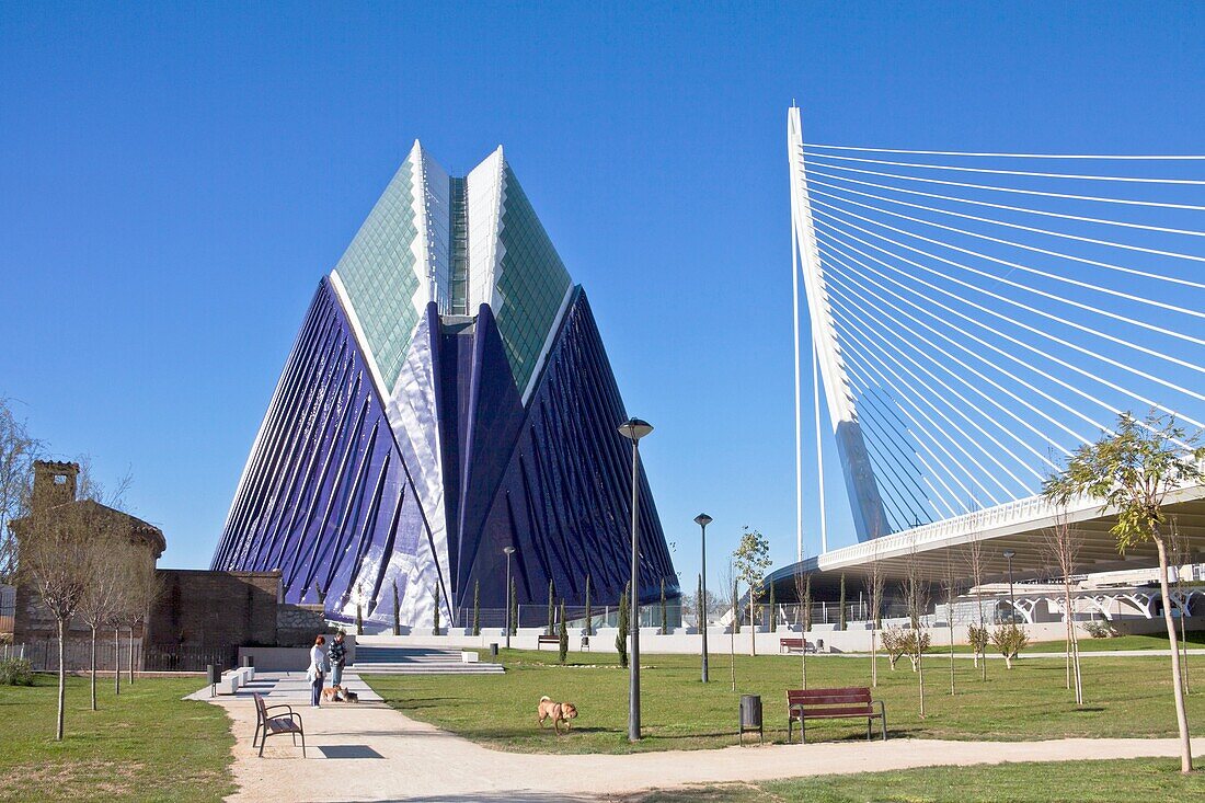 Spain-Valencia Comunity-Valencia City-The City of Arts and Science built by Calatrava-The Agora and Assut del Or Bridge