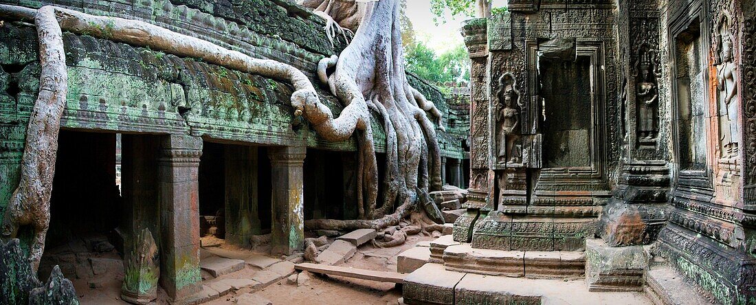 Cambodia-No  2009 Siem Reap City Angkor Temples W H  Ta Prohm Temple.