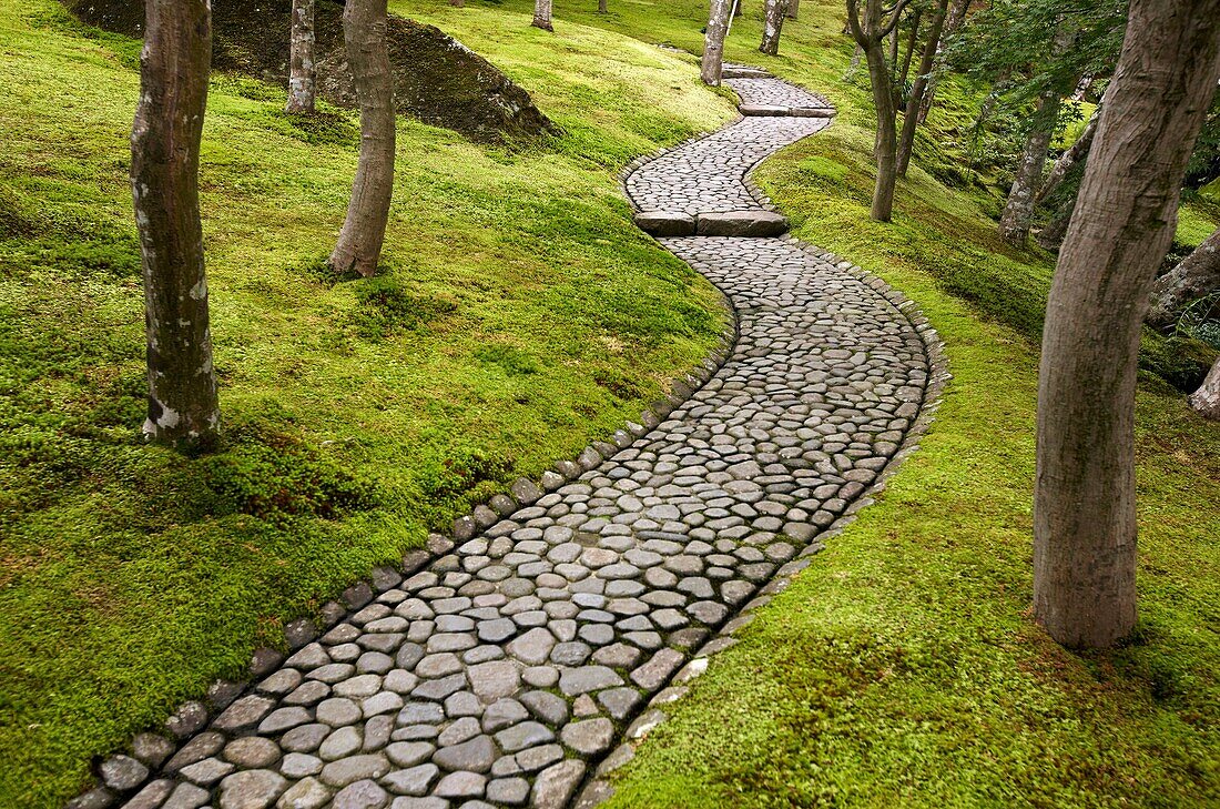 Moss Garden, Hakone Museum of Art, Hakone, Kanagawa, Japan