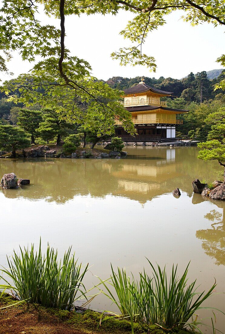 Kinkakuji-Tempel, Der Goldene Pavillon, Rokuon-ji-Tempel, Kyoto, Japan.