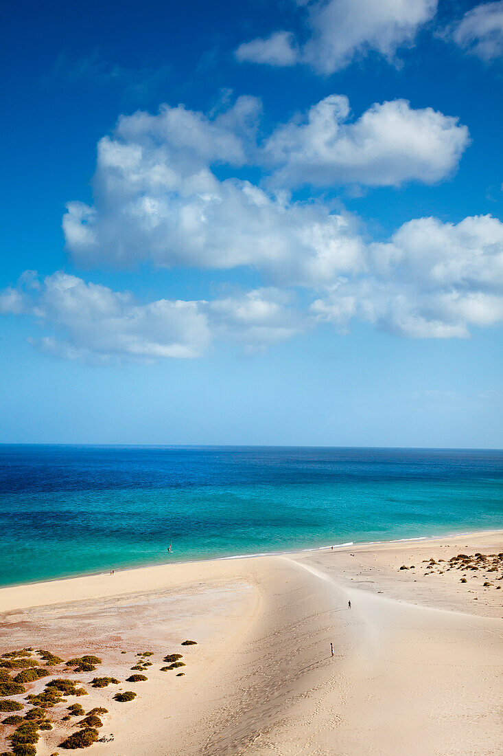Düne, Risco del Paso, Playa de Sotavento, Fuerteventura, Kanarische Inseln, Spanien