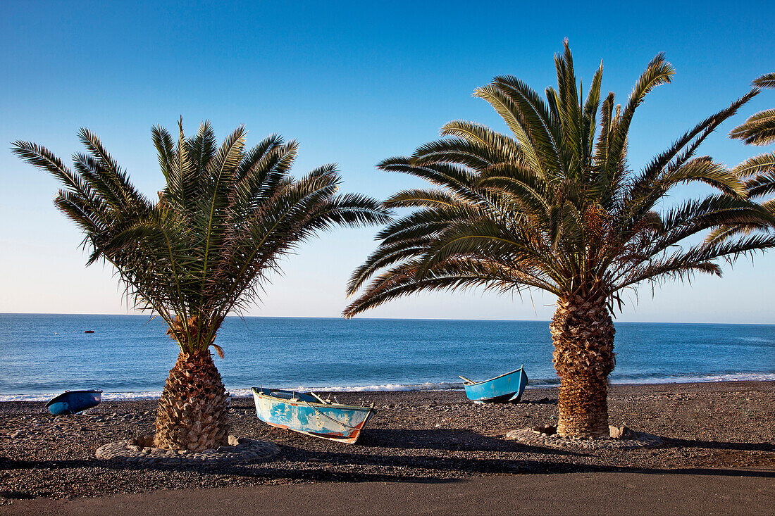 Fischerboote und Palmen am Strand von La Lajita, Fuerteventura, Kanarische Inseln, Spanien