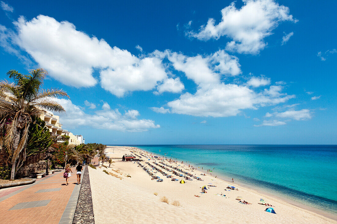 Beach and seaside promenade, Playa del Matorral, Morro Jable, Jandia peninsula, Fuerteventura, Canary Islands, Spain