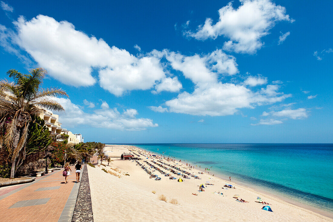 Strand und Promenade, Playa del Matorral, Morro Jable, Jandia Halbinsel, Fuerteventura, Kanarische Inseln, Spanien