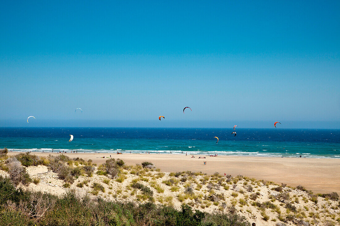 Kite surfer, Playa Barca, Playa de Sotavento, Jandia peninsula, Fuerteventura, Canary Islands, Spain