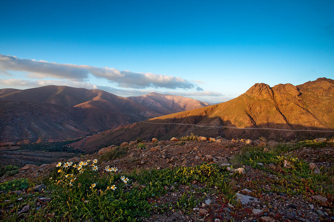 Blick vom Aussichtspunkt Degollada de Los Granadillos, Fuerteventura, Kanarische Inseln, Spanien