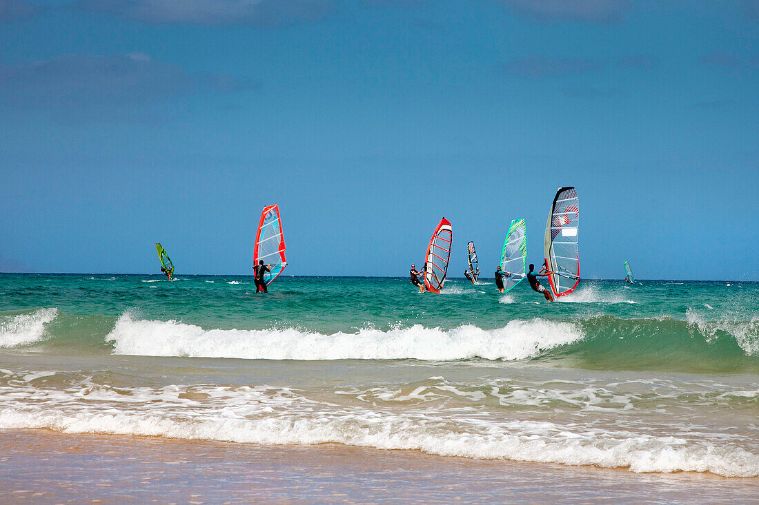 Windsurfer, Playa de Sotavento, Fuerteventura, Kanarische Inseln, Spanien