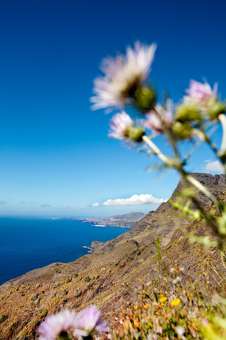 Berge an der Westküste, Gran Canaria, Kanarische Inseln, Spanien