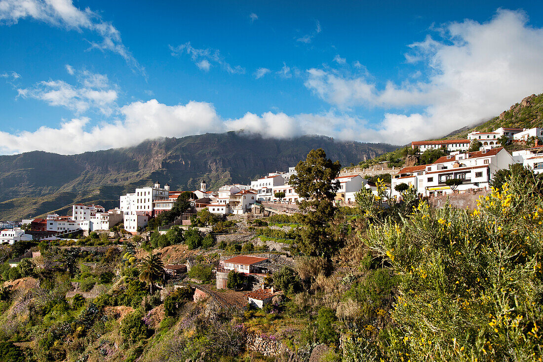 Tejeda, Gran Canaria, Canary Islands, Spain