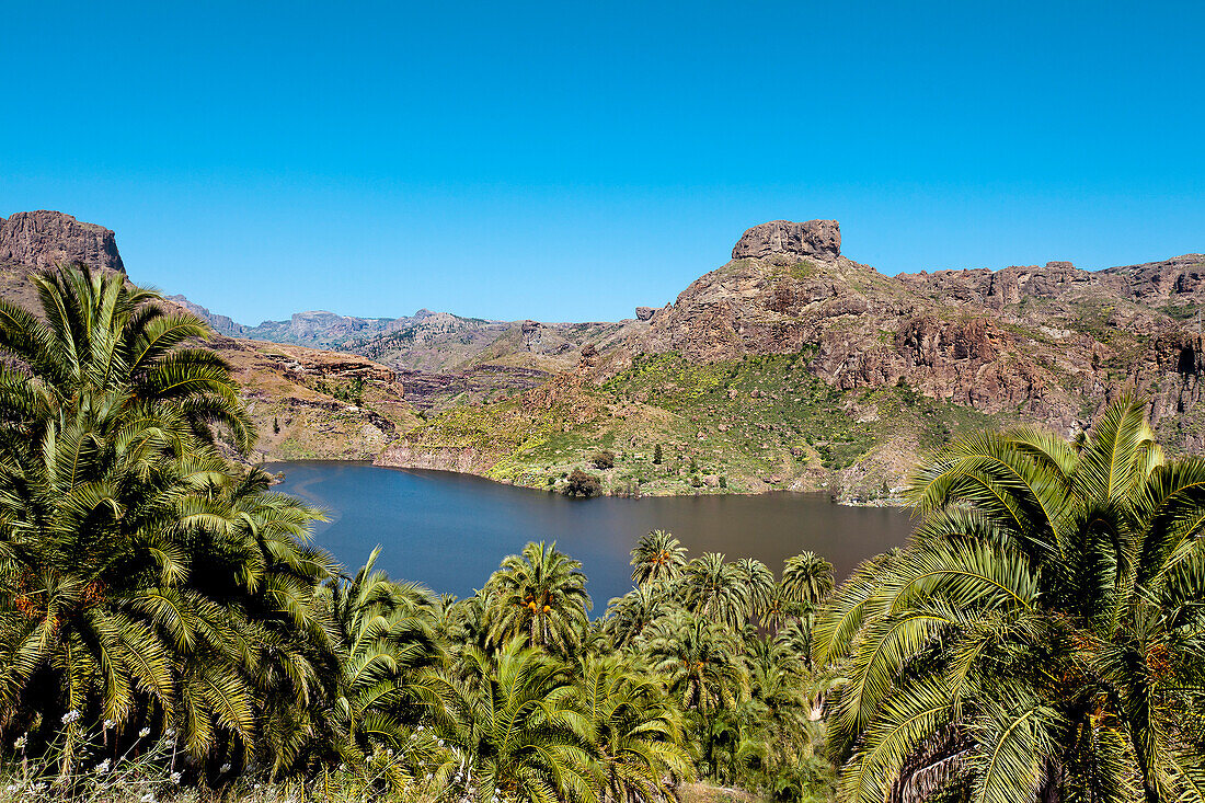 Stausee, Presa de Soria, Gran Canaria, Kanarische Inseln, Spanien