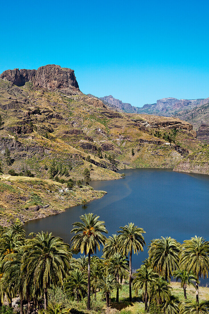 Stausee, Presa de Soria, Gran Canaria, Kanarische Inseln, Spanien