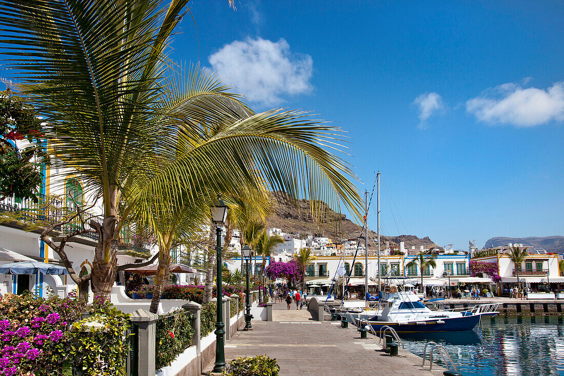 Harbour in the sunlight, Puerto de Mogan, Gran Canaria, Canary Islands, Spain, Europe