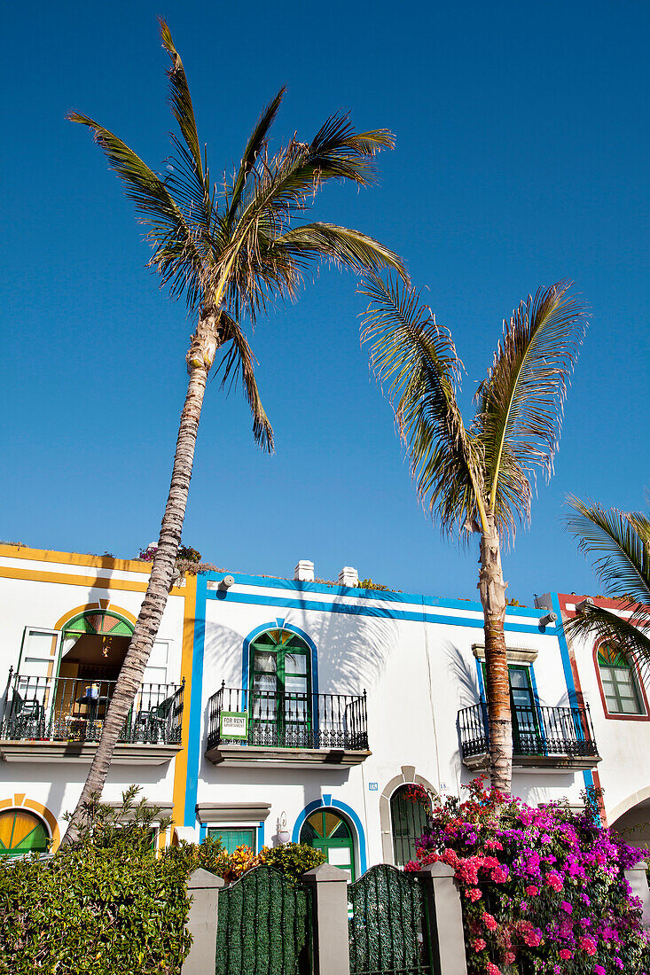 Houses at the promenade, Puerto de Mogan, Gran Canaria, Canary Islands, Spain, Europe