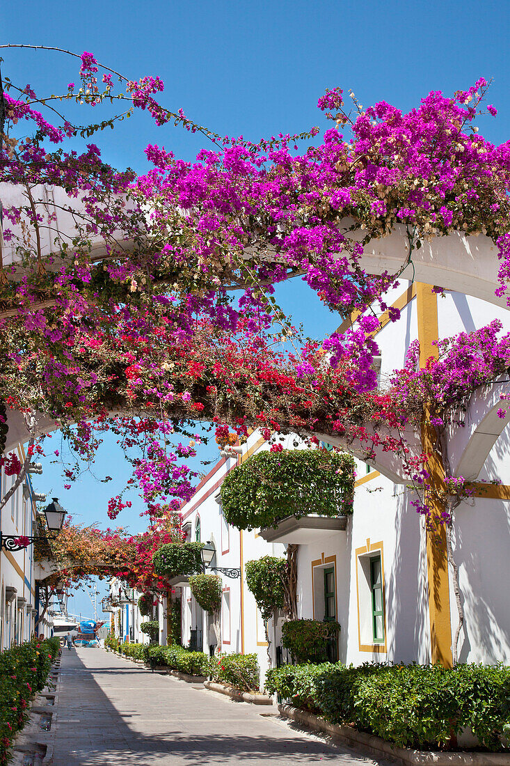 Häuser mit Blumen, Puerto de Mogan, Gran Canaria, Kanarische Inseln, Spanien, Europa