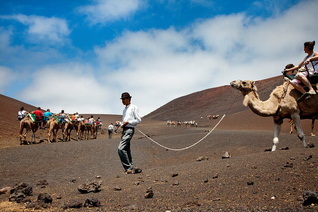 Menschen reiten auf Kamelen in Vulkanlandschaft, Nationalpark Timanfaya, Parque Nacional de Timanfaya, Lanzarote, Kanarische Inseln, Spanien, Europa