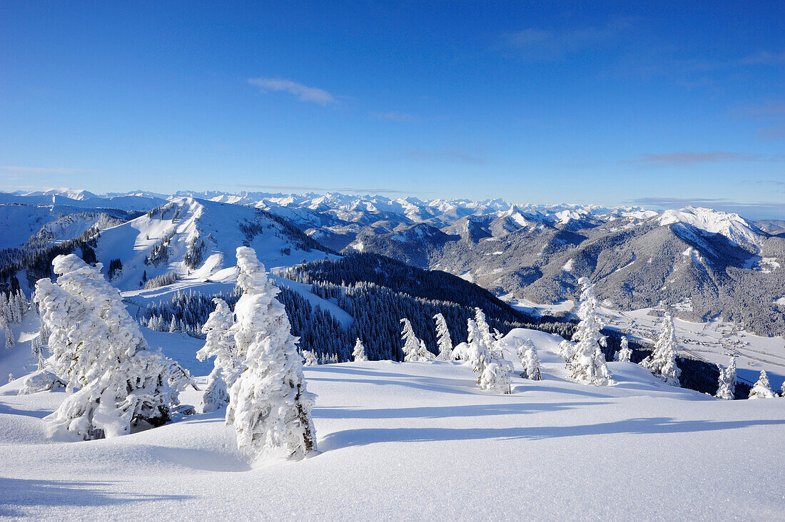 Winterwald mit Blick auf Setzberg, Wallberg, Tegernseer Berge, Bayerische Voralpen, Oberbayern, Bayern, Deutschland