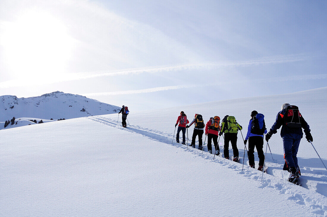 Group of people backcountry skiing, ascending to Pallspitze, Pallspitze, Langer Grund, Kitzbuehel Alps, Tyrol, Austria