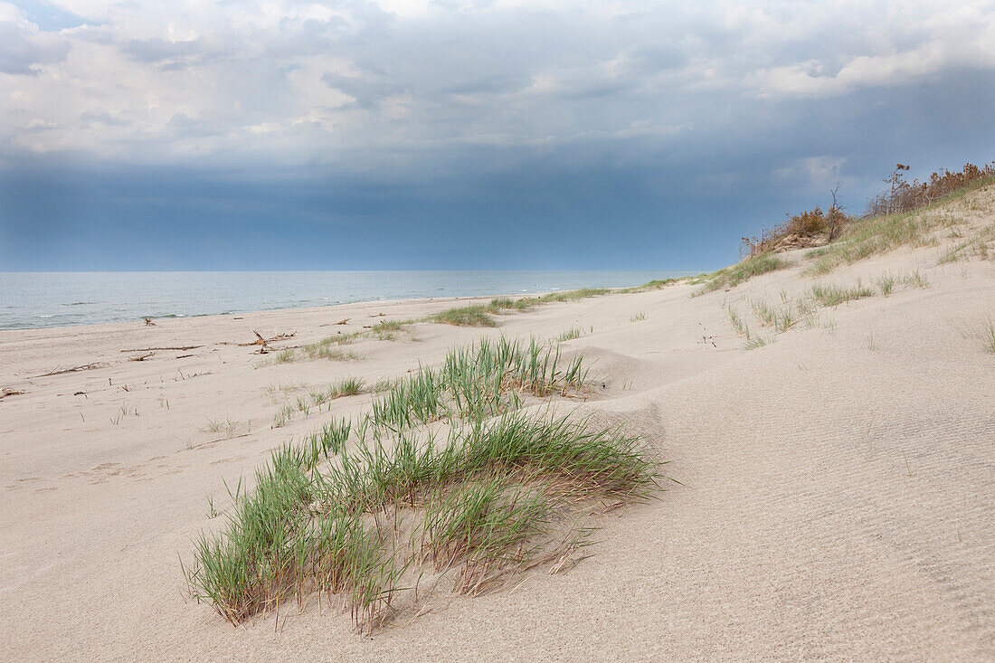 Dunes of Leba with rain clouds over the Baltic Sea, UNESCO World Biosphere Reserve, Slowinski National Park, Polish Baltic Sea coast, Leba, Pomeranian, Poland