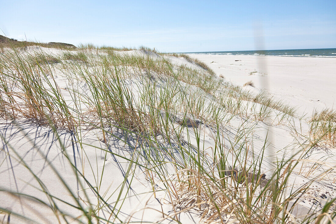 Ostsee durch Dünnengras gesehen, Dünen von Leba, UNESCO Weltnaturerbe, Leba Slowinski National Park, Polnische Ostseeküste, Leba, Pommern, Polen