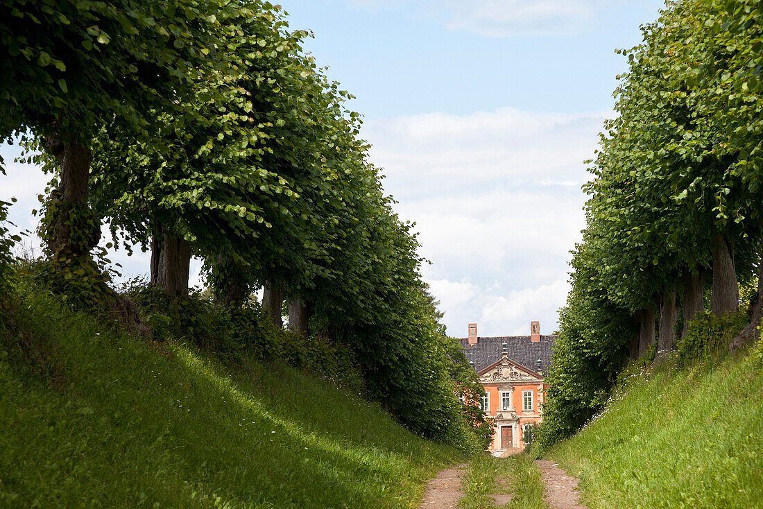 Feston Allee, einzigartiges Gartendenkmal, Schloss Bothmer, größte erhaltene Barockanlage Mecklenburg-Vorpommerns, Ostseeküste, Klützer Winkel, Klütz, Mecklenburg-Vorpommern, Deutschland