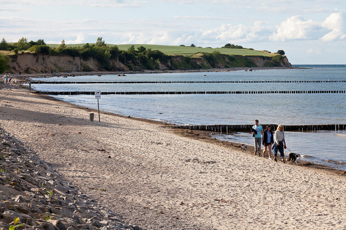 Strand von Boltenhagen, Wanderer, Klützer Winkel, Ostseeküste, Boltenhagen, Mecklenburg-Vorpommern, Deutschland