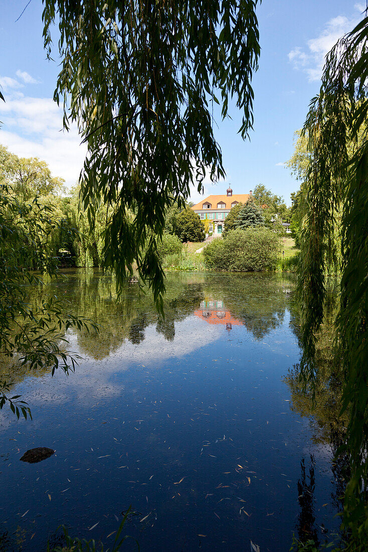 Hotel Gutshaus Stellshagen, Teich, Trauerweide, Klützer Winkel, Ostseeküste, Stellshagen, Mecklenburg-Vorpommern, Deutschland