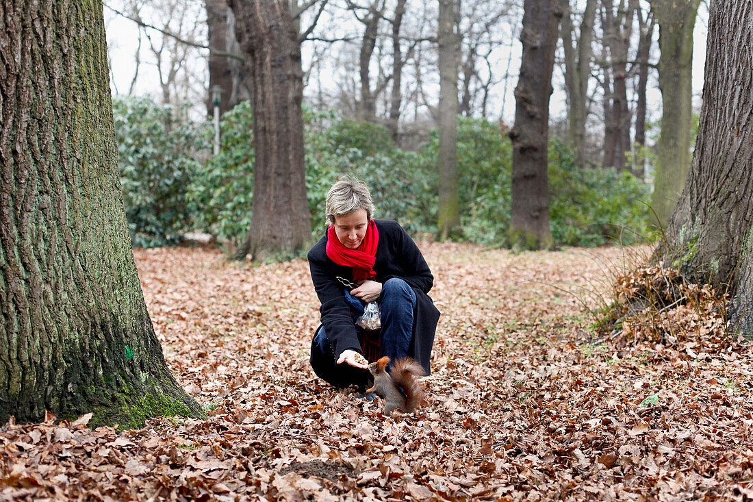 Junge Frau füttert Eichhörnchen im Park mit Nüssen, Herbstlaub in Clara-Zetkin-Park, MR, Leipzig, Sachsen, Deutschland