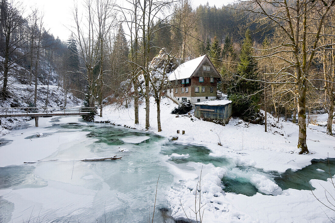 Altes Haus und eisbedeckter Bach, nahe Hinterzarten, Schwarzwald, Baden-Württemberg, Deutschland