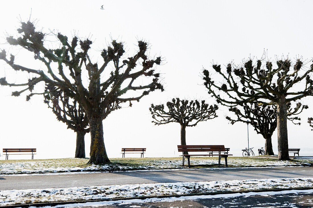 Lake shore at Unteruhldingen, Lake Constance, Baden-Wurttemberg, Germany