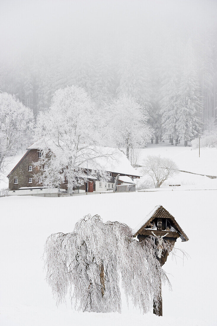 Bauernhaus in Winter, Breitnau, nahe Freiburg im Breisgau, Schwarzwald, Baden-Württemberg, Deutschland